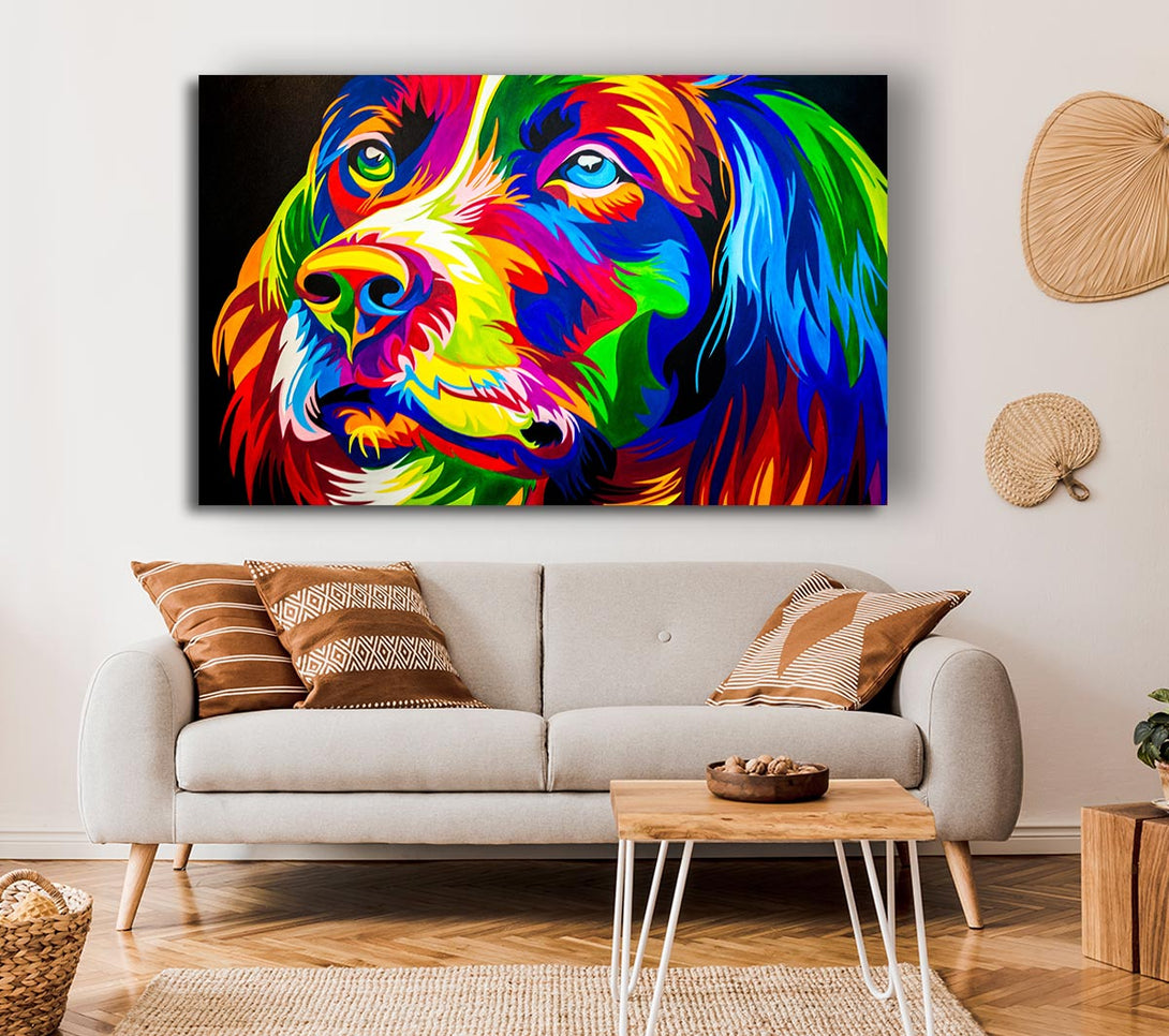 Picture of The Stunning Colourful Dog Canvas Print Wall Art