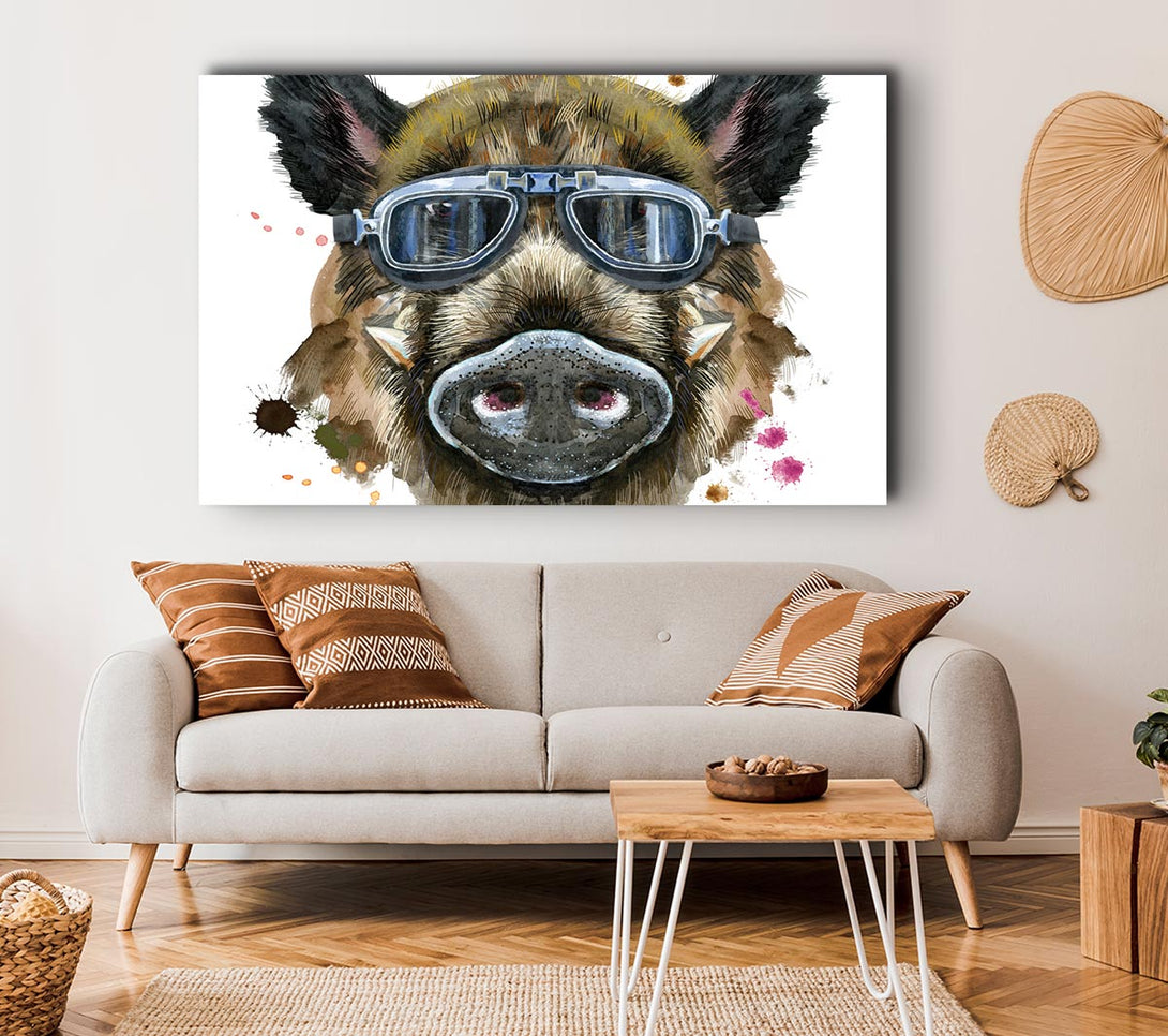 Picture of The Boar In Glasses Canvas Print Wall Art