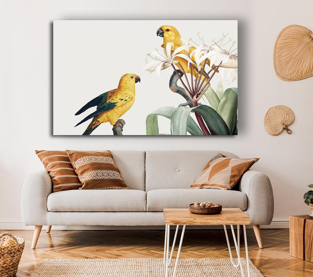 Picture of Two Yellow Parrots Canvas Print Wall Art