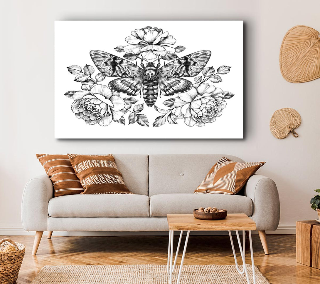 Picture of Death Head Moth Canvas Print Wall Art