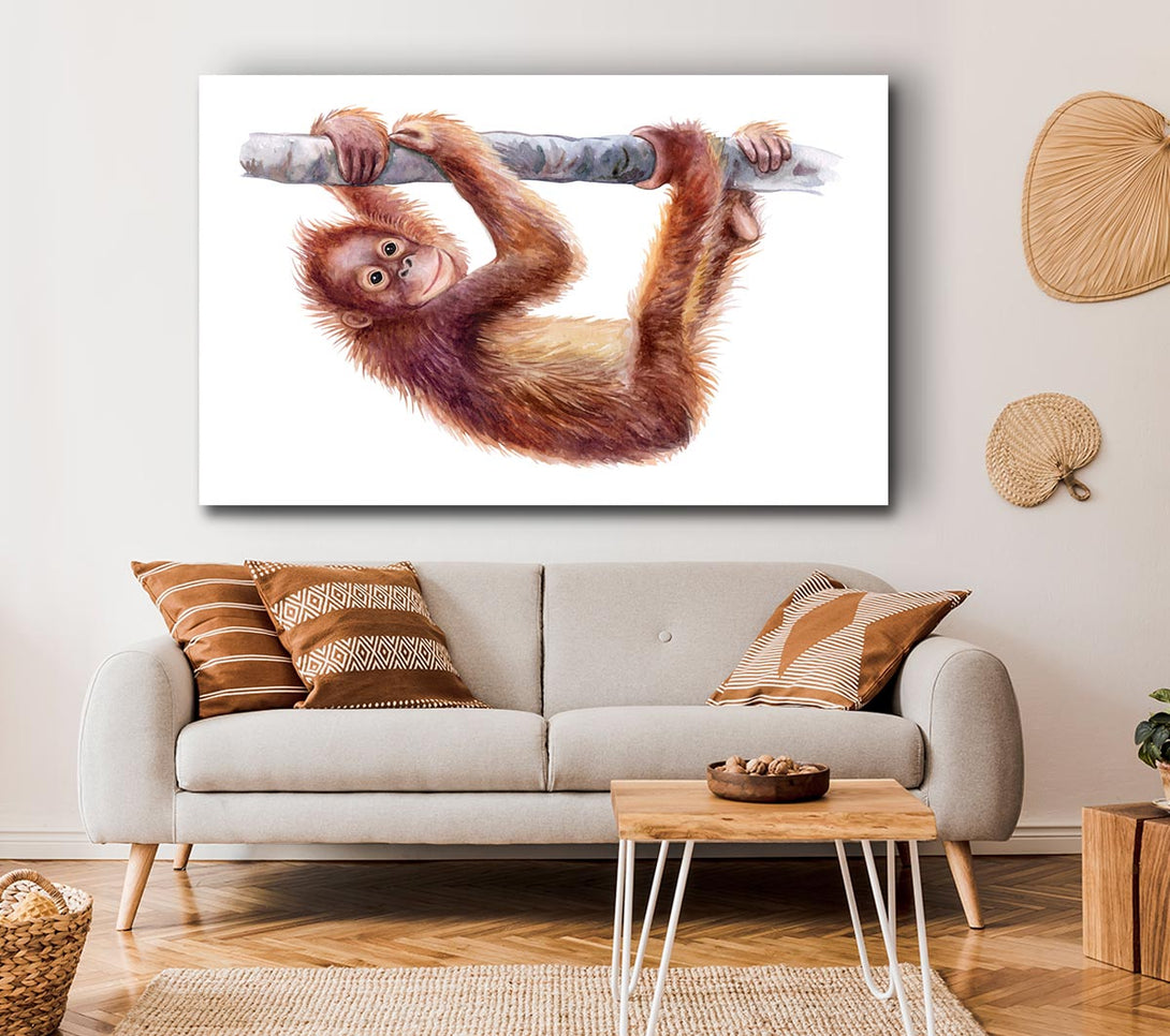 Picture of Hanging On A Branch Orangutan Canvas Print Wall Art