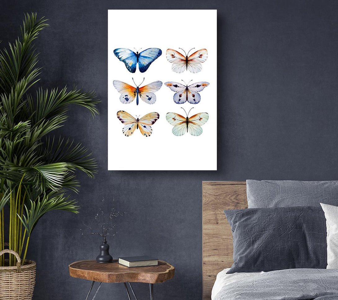 Picture of Butterfly Breeds Canvas Print Wall Art