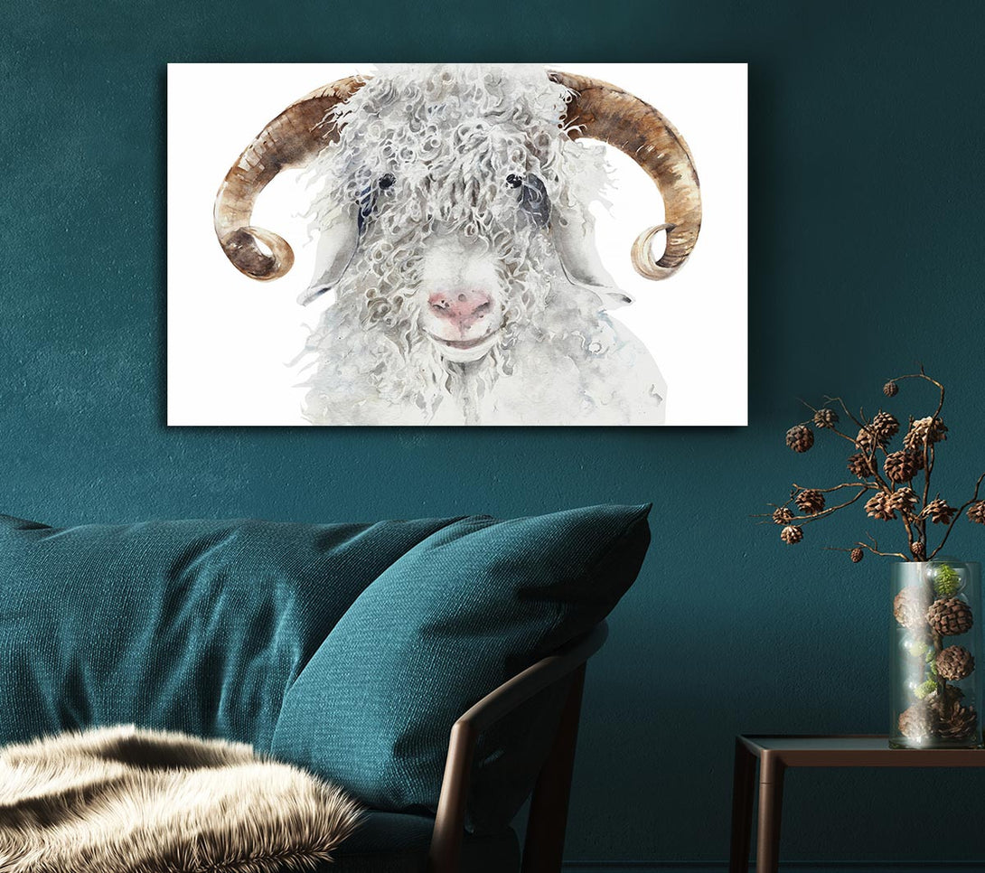 Picture of Sheep Beauty Canvas Print Wall Art