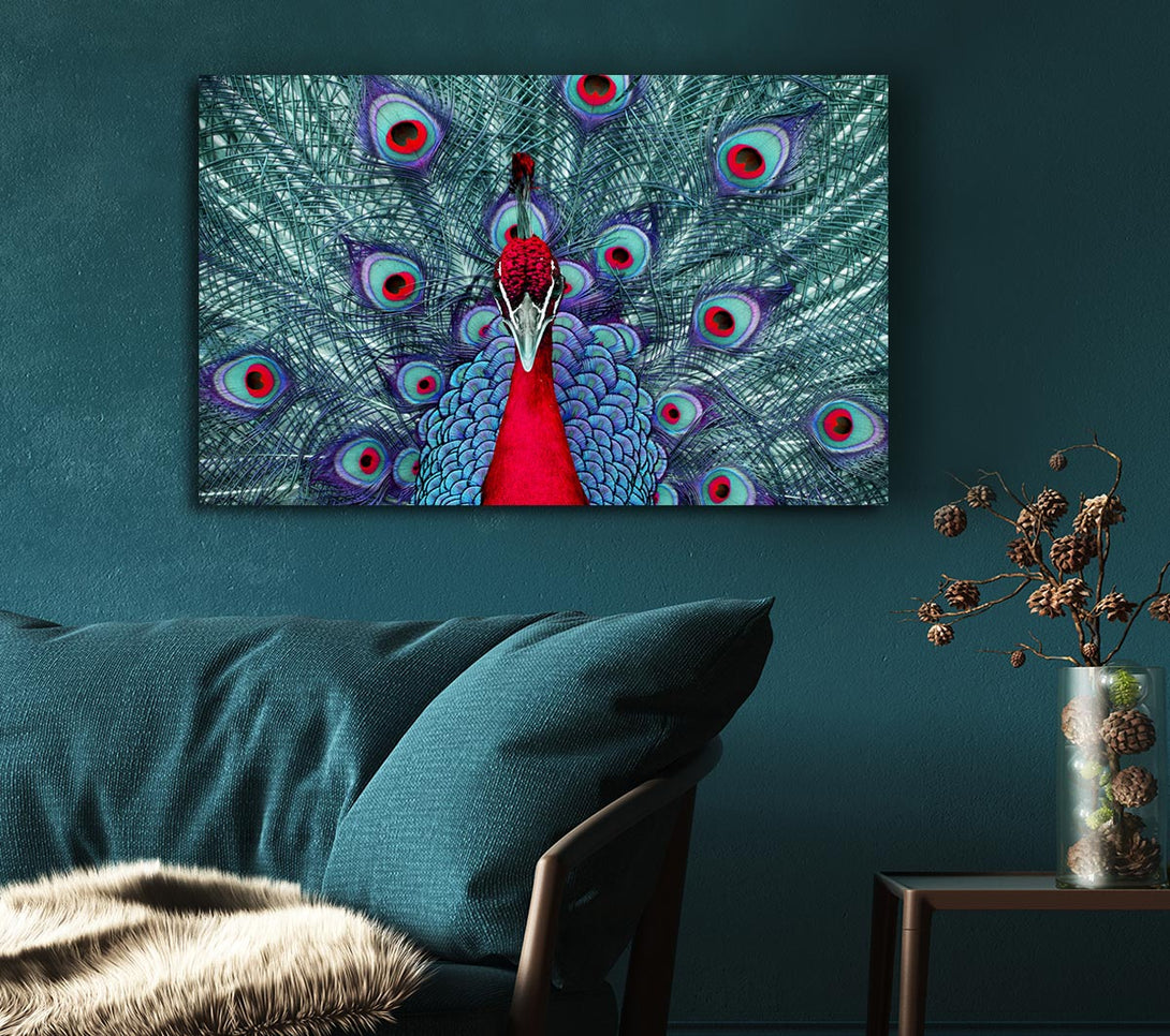 Picture of Peacock Beauty Canvas Print Wall Art