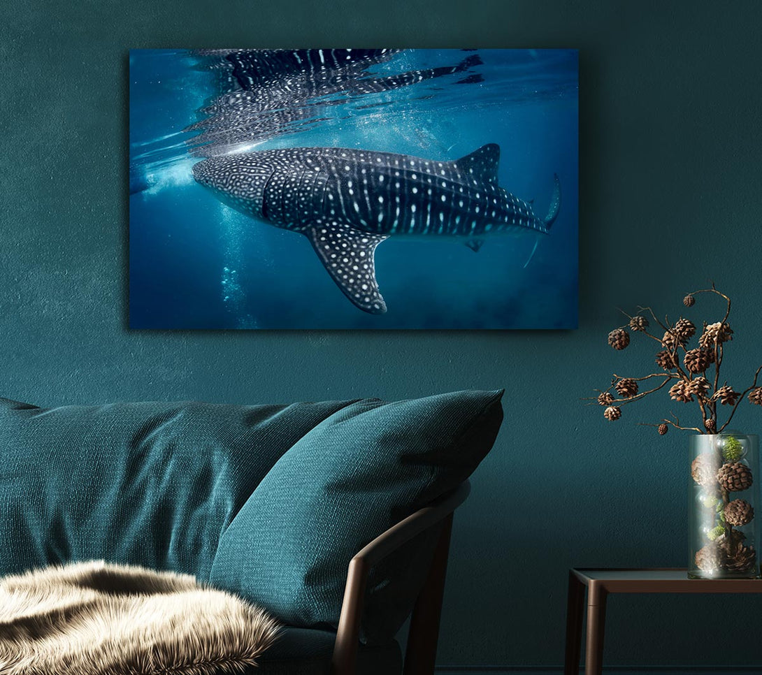 Picture of Spotted Whale Shark Canvas Print Wall Art