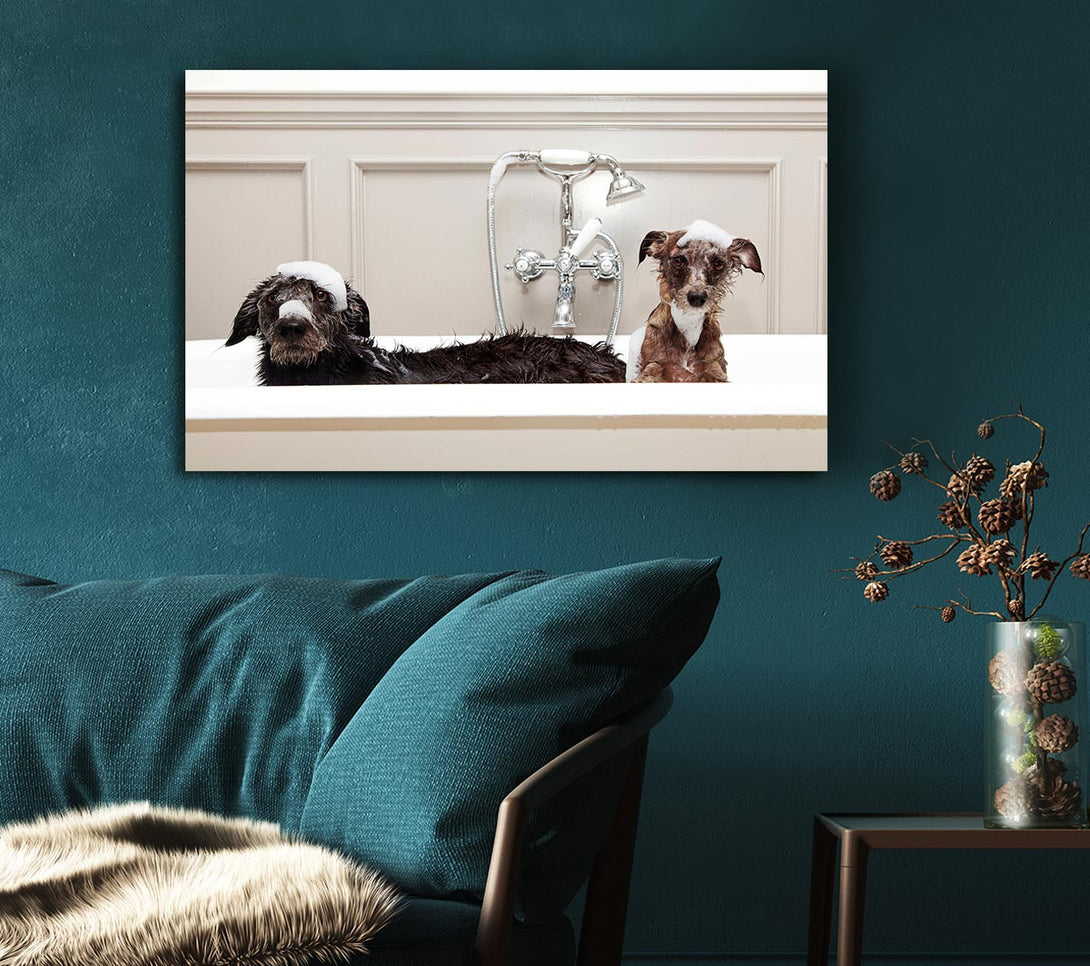 Picture of Bath Time Dogs Canvas Print Wall Art