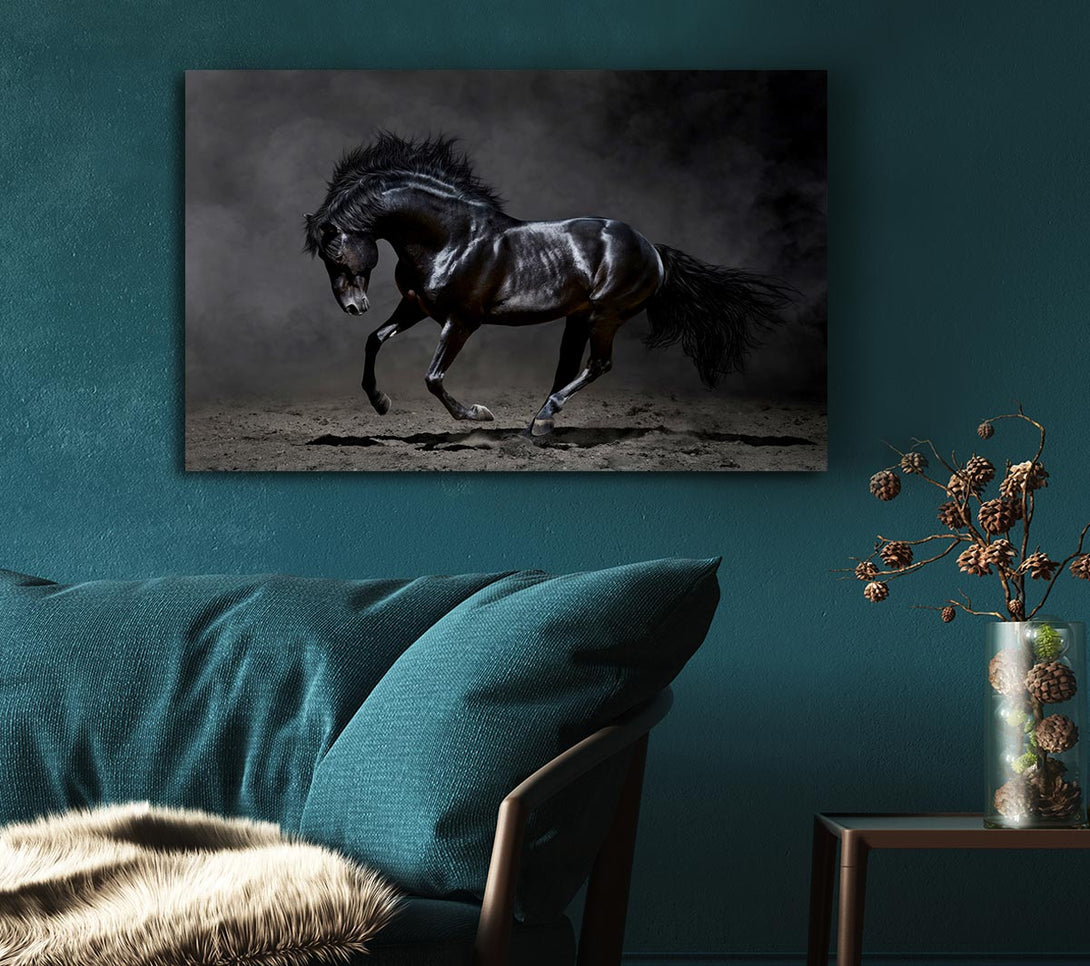 Picture of Black Beauty Horse Canvas Print Wall Art