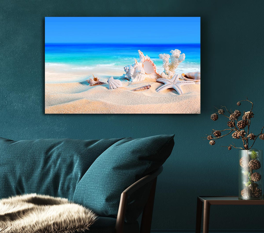 Picture of Perfect Ocean Shells Canvas Print Wall Art