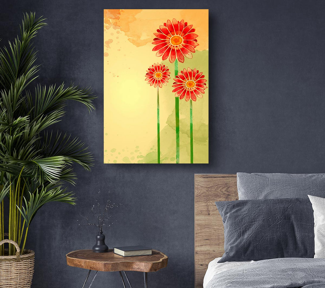 Picture of Trio Of Daisies Canvas Print Wall Art