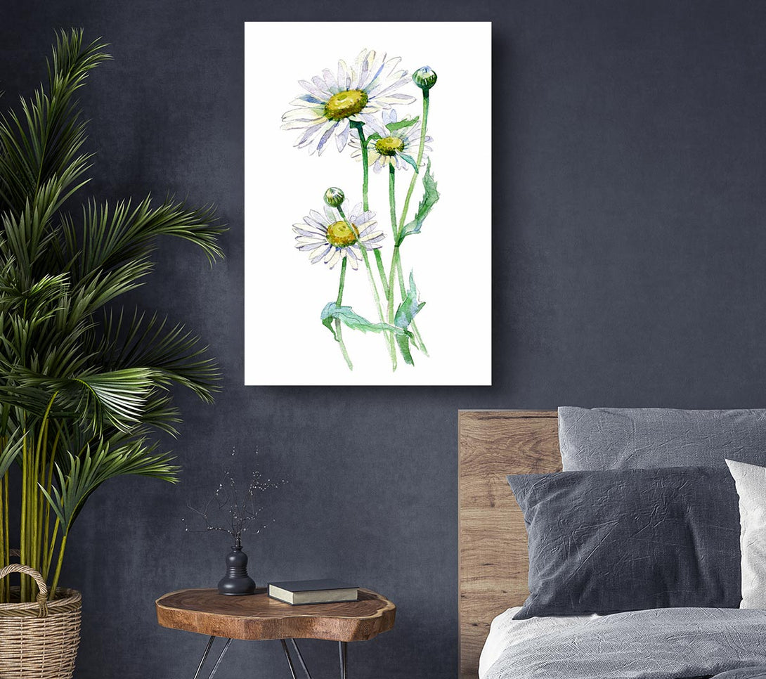 Picture of Daisy Center Canvas Print Wall Art