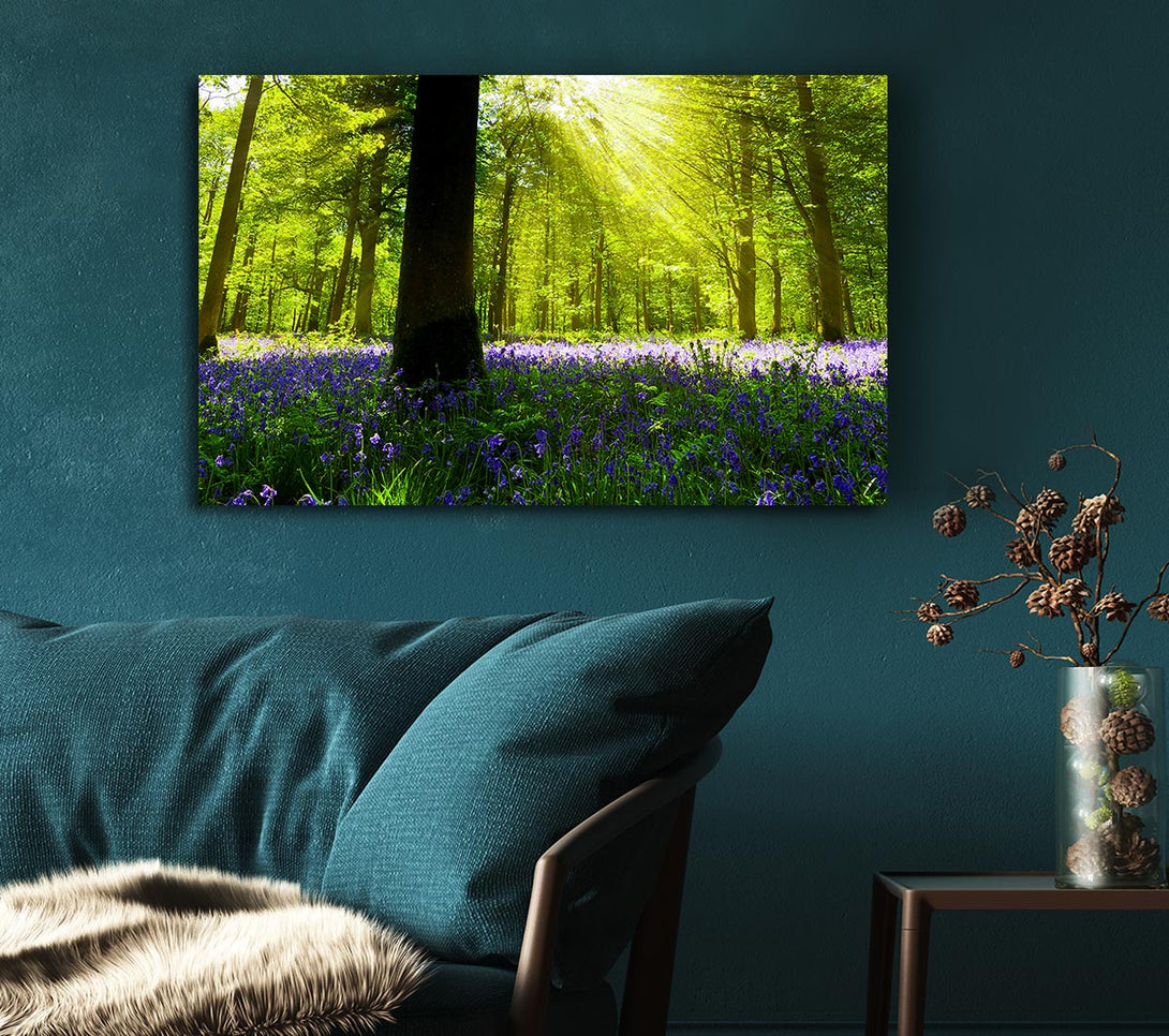 Picture of Bluebell Sun Blaze Canvas Print Wall Art