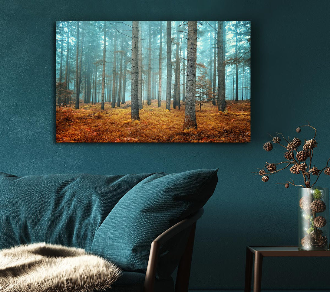 Picture of Misty Forest Glow Canvas Print Wall Art