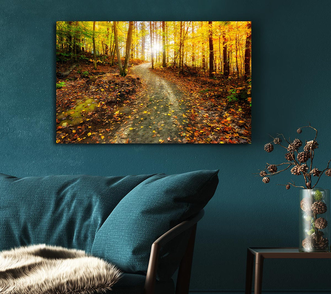 Picture of Path To The Sun 1 Canvas Print Wall Art