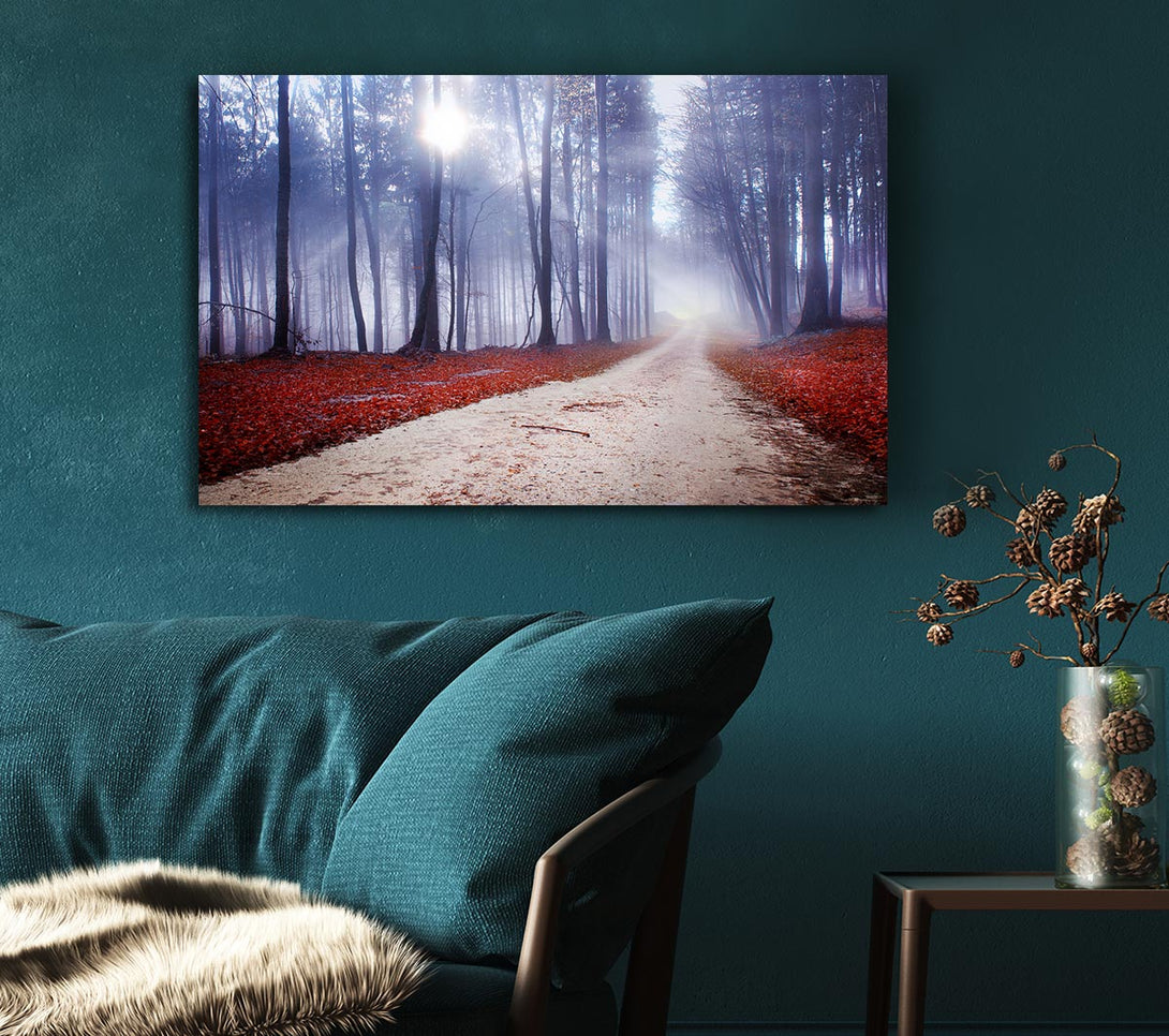 Picture of Sun Blaze Through The Mist Canvas Print Wall Art