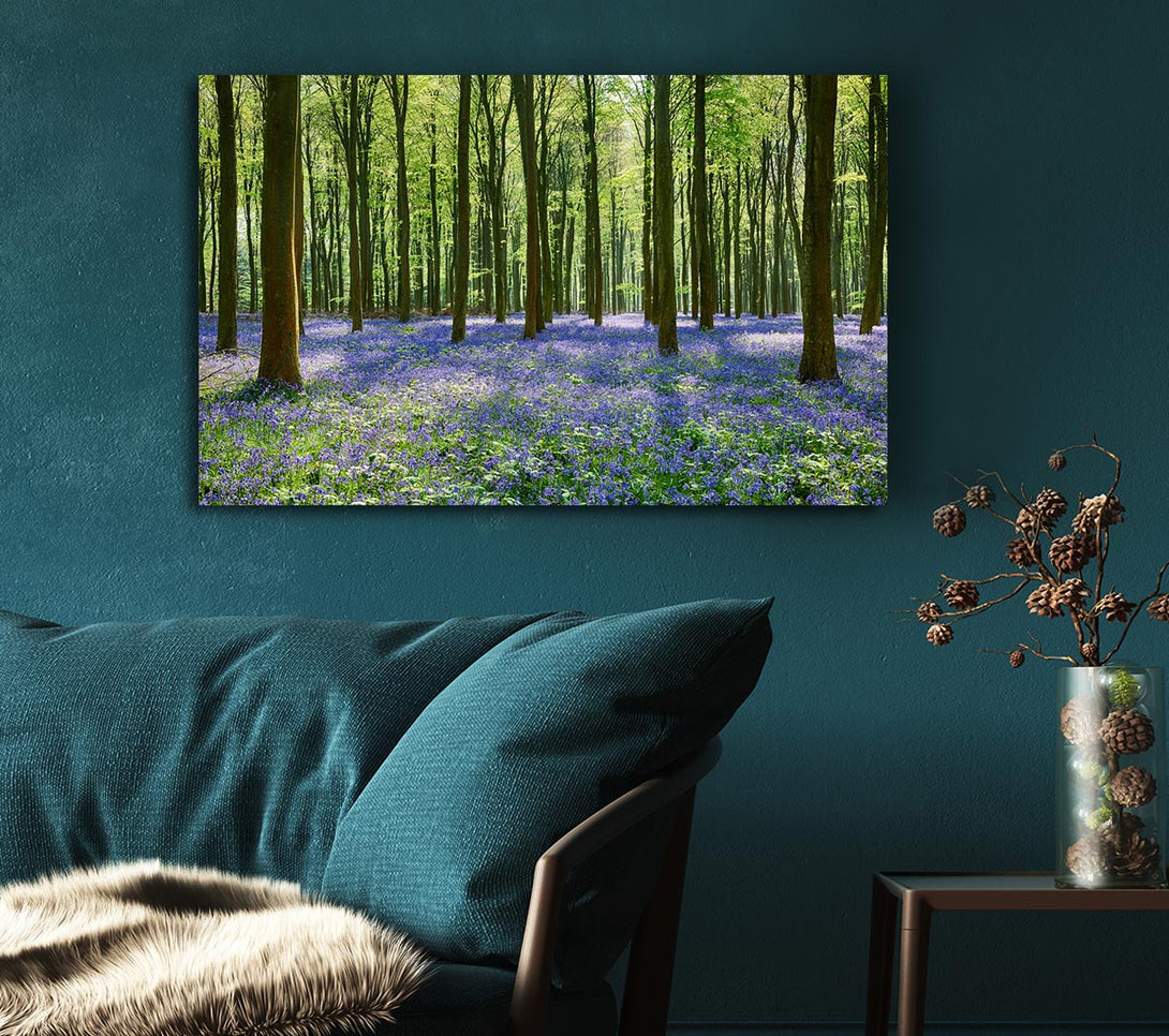 Picture of Mystical Bluebell Woodland Canvas Print Wall Art