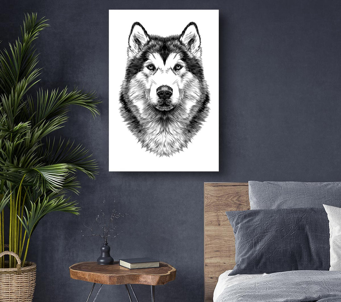 Picture of Husky Wolf Canvas Print Wall Art