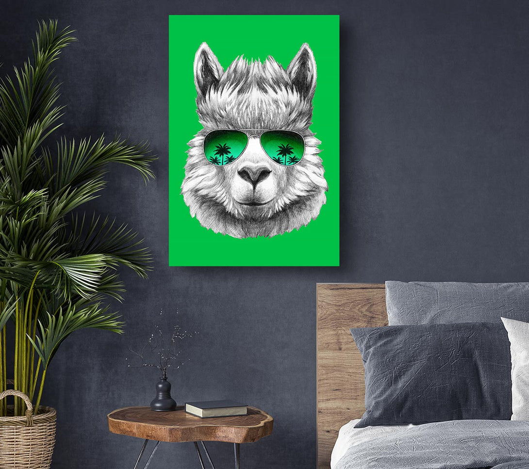 Picture of Llama Cool Canvas Print Wall Art