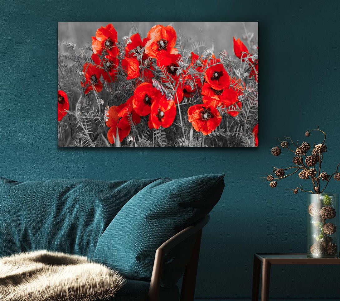 Picture of Red poppy closeup Canvas Print Wall Art