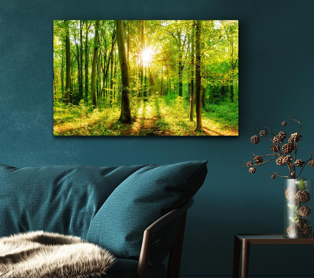 Picture of Green forest beauty Canvas Print Wall Art