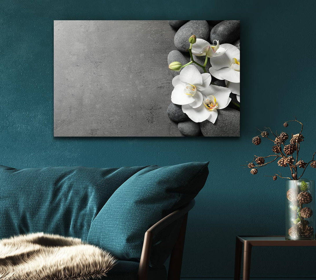 Picture of White Orchid on grey pebbles Canvas Print Wall Art