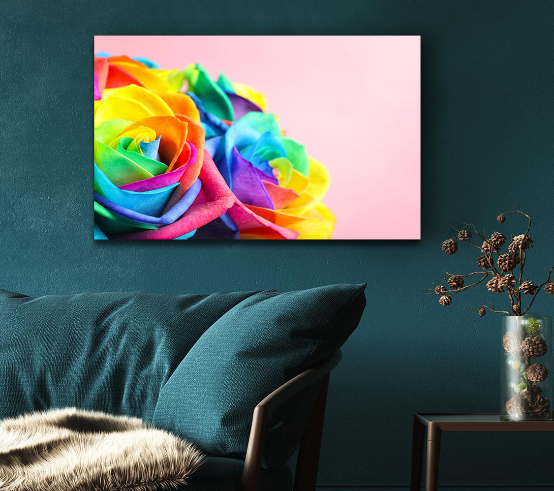 Picture of Rainbow closeup rose Canvas Print Wall Art