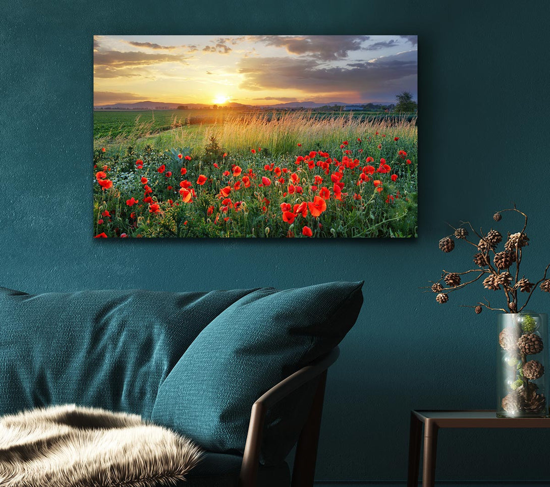 Picture of Red poppies in the green countryside Canvas Print Wall Art