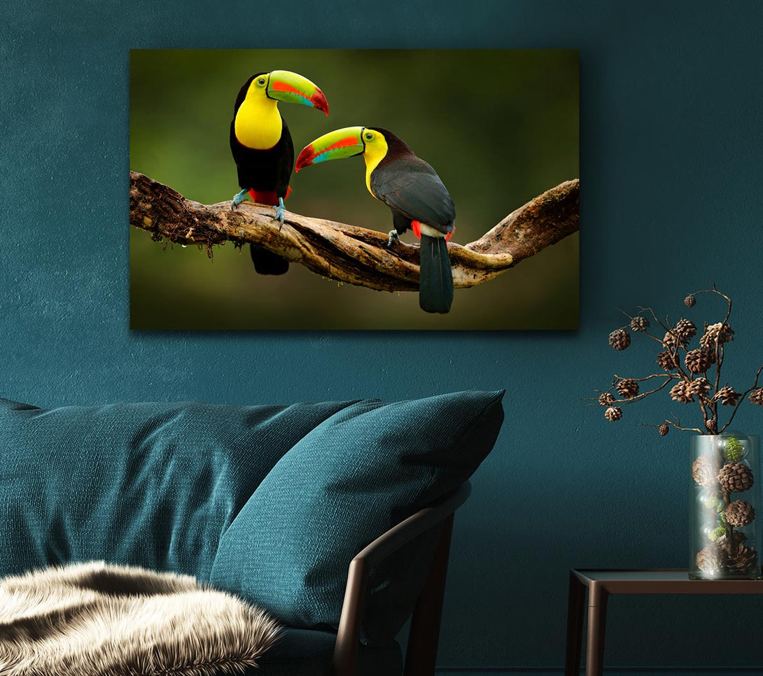 Picture of Two Toucans on branch Canvas Print Wall Art