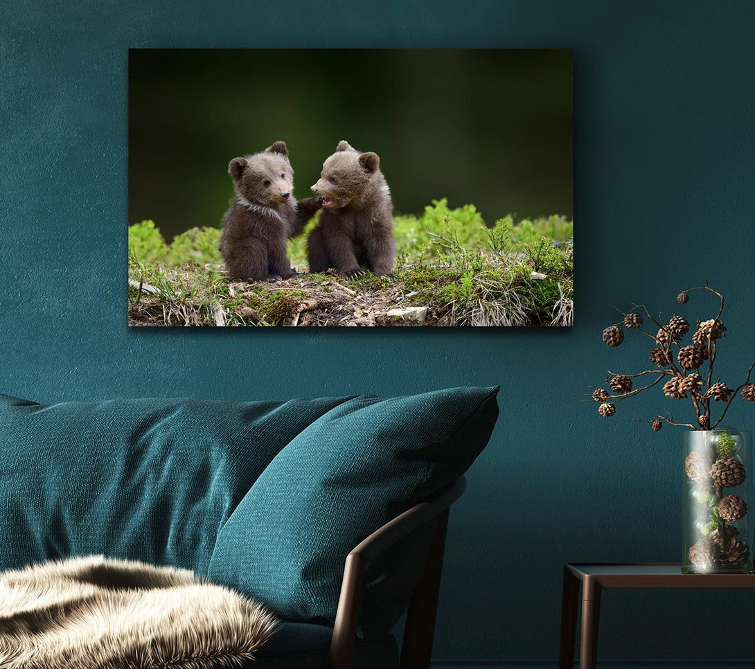 Picture of Two bear cubs playing Canvas Print Wall Art