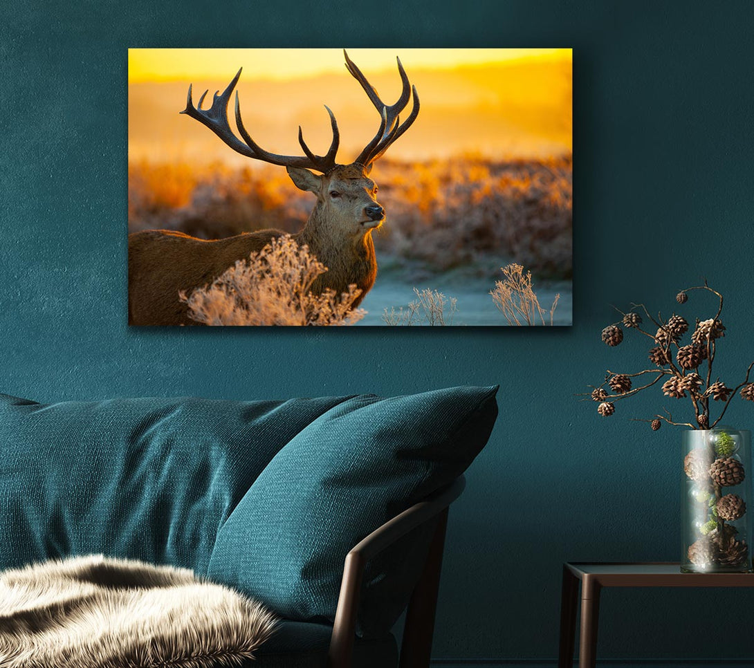 Picture of Crisp winters stag Canvas Print Wall Art