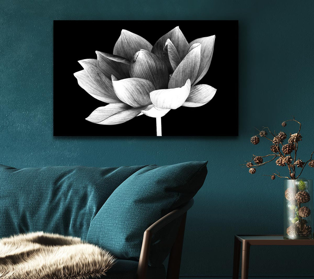 Picture of Black and white flower beauty Canvas Print Wall Art