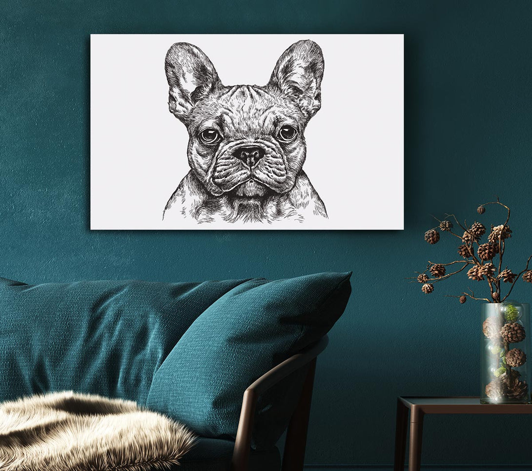 Picture of French Bulldog Sketch Canvas Print Wall Art