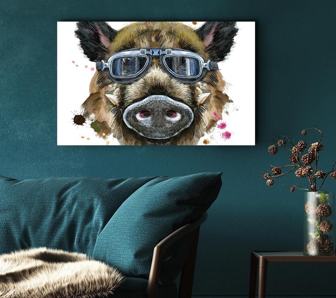 Picture of The Boar In Glasses Canvas Print Wall Art