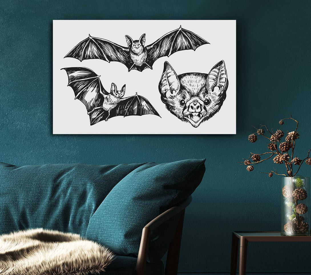 Picture of The Trio Of Bat Illustrations Canvas Print Wall Art