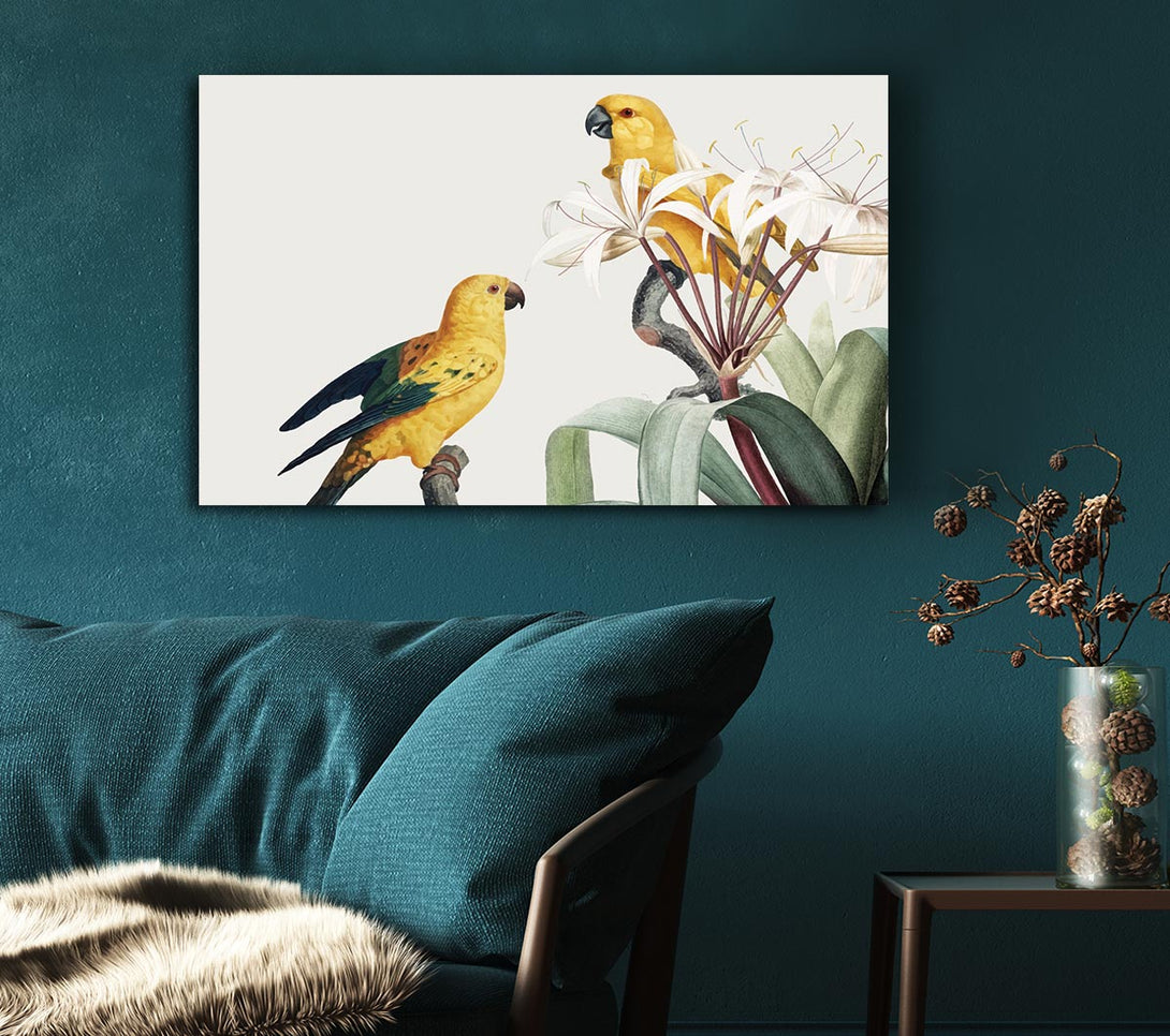 Picture of Two Yellow Parrots Canvas Print Wall Art