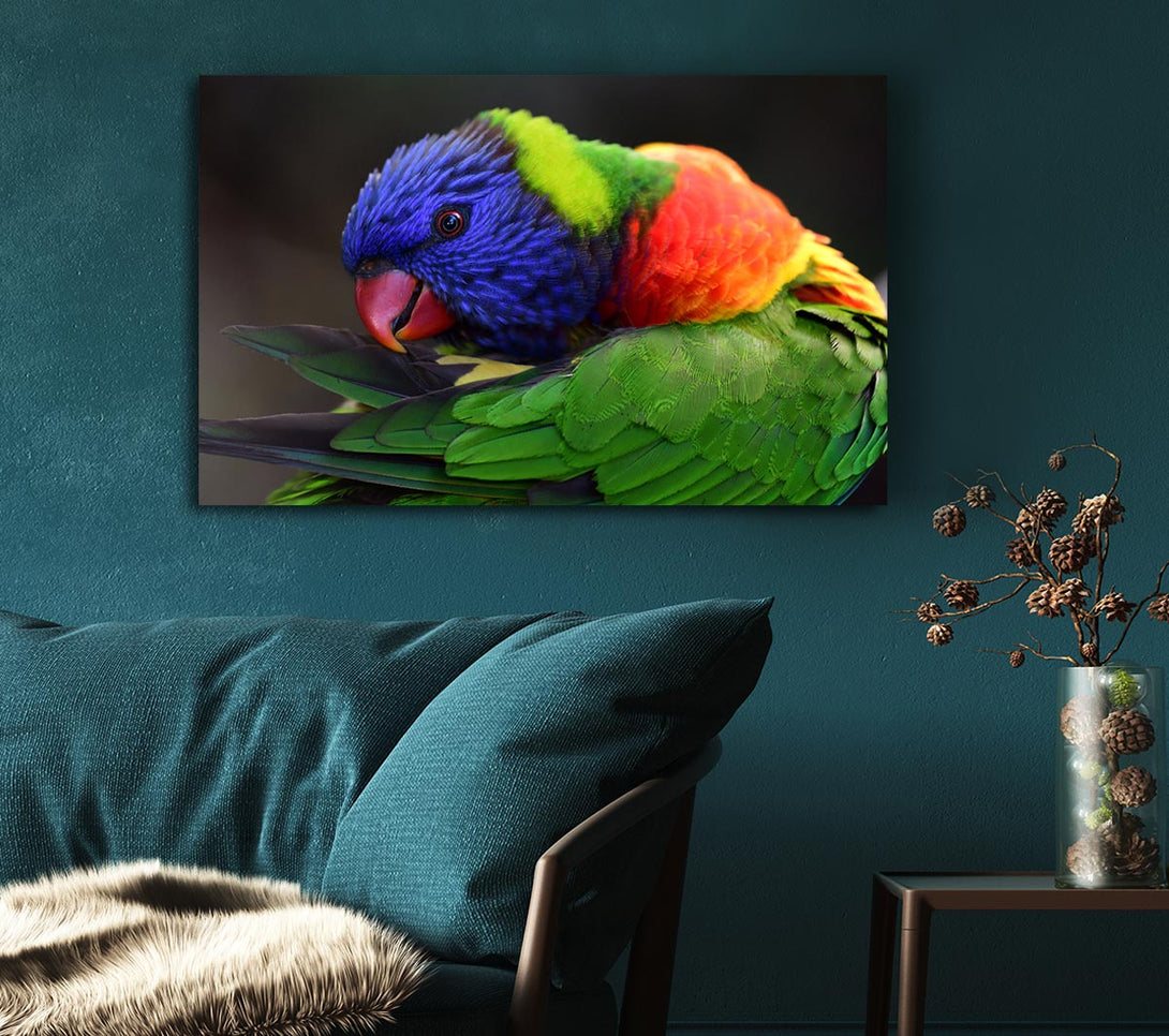 Picture of Colourful Parrot Feather Peck Canvas Print Wall Art