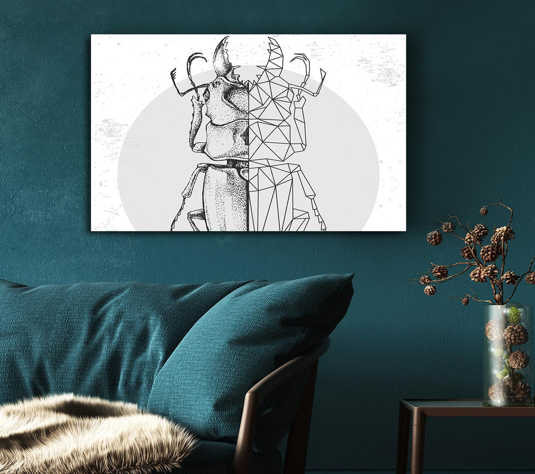 Picture of The Stag Beetle Sketch Canvas Print Wall Art