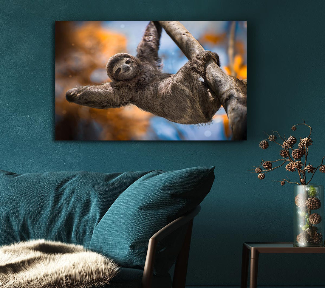 Picture of Sloth Hanging From A Tree Canvas Print Wall Art