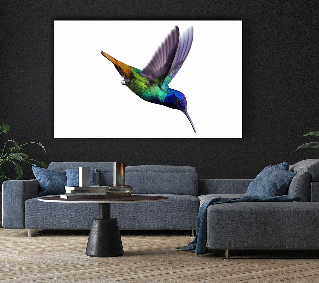 Picture of Hummingbird Colours Canvas Print Wall Art