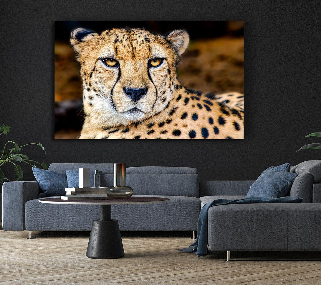 Picture of Beautiful Cheetah Face Canvas Print Wall Art