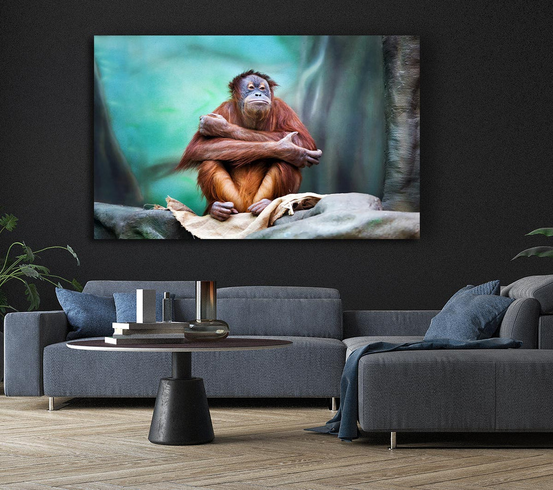 Picture of Orangutan Forest Canvas Print Wall Art