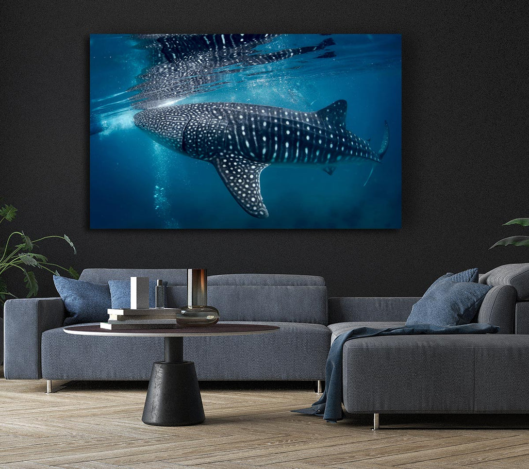 Picture of Spotted Whale Shark Canvas Print Wall Art