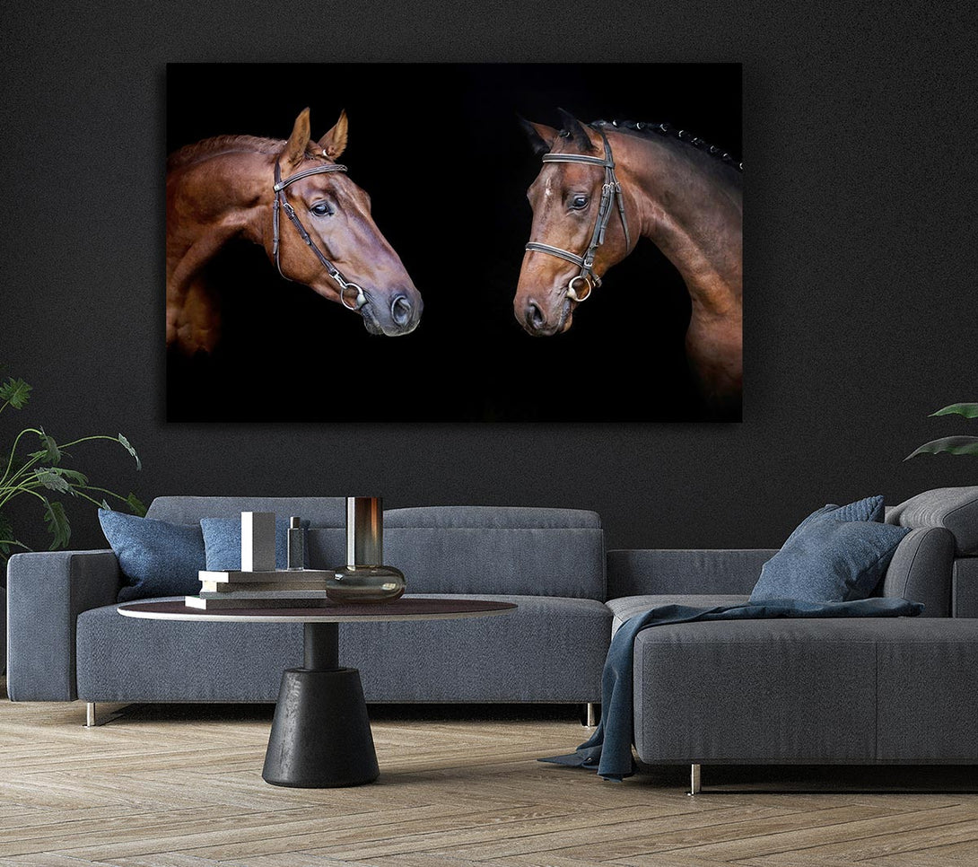 Picture of Horse Duo Canvas Print Wall Art