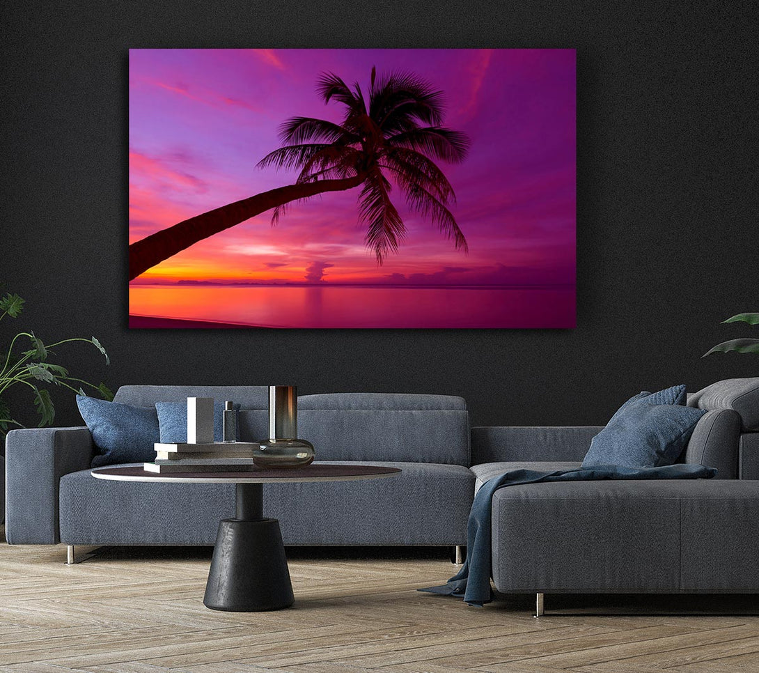 Picture of Palm Tree Skies Canvas Print Wall Art