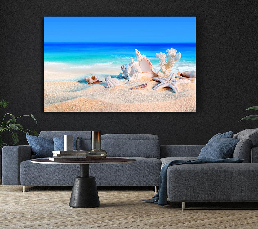 Picture of Perfect Ocean Shells Canvas Print Wall Art