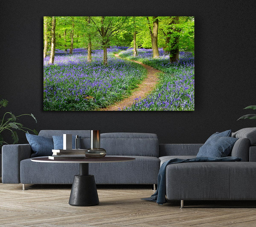 Picture of Walk Through The Bluebell Path Canvas Print Wall Art