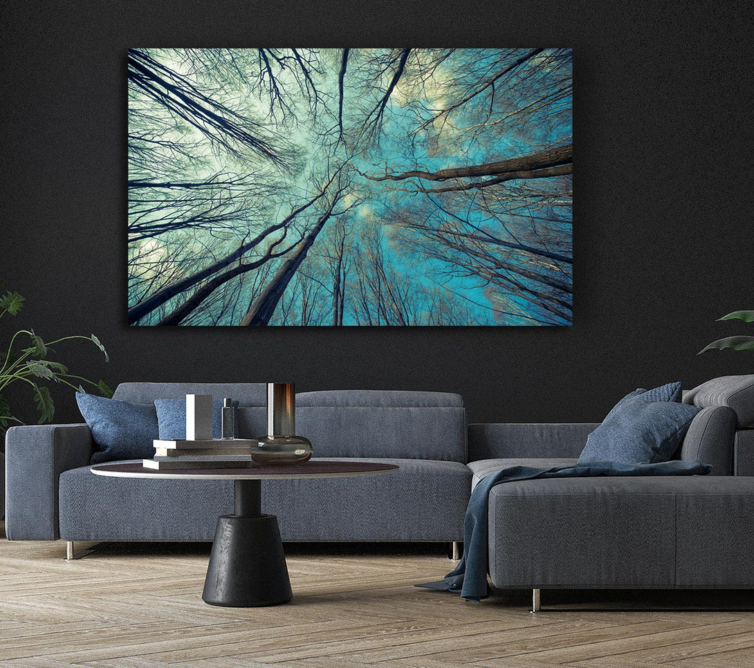 Picture of Sky Of Trees Canvas Print Wall Art