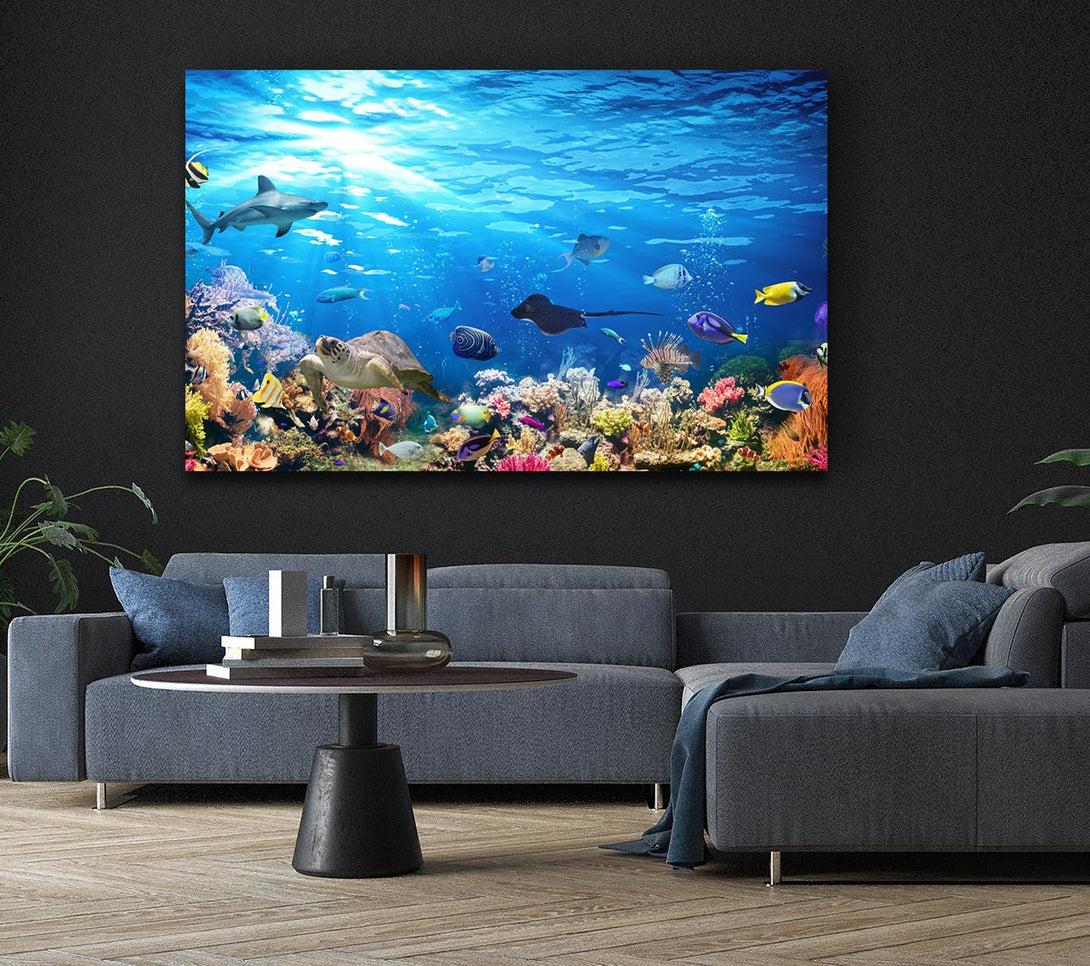 Picture of Creatures in the reef Canvas Print Wall Art