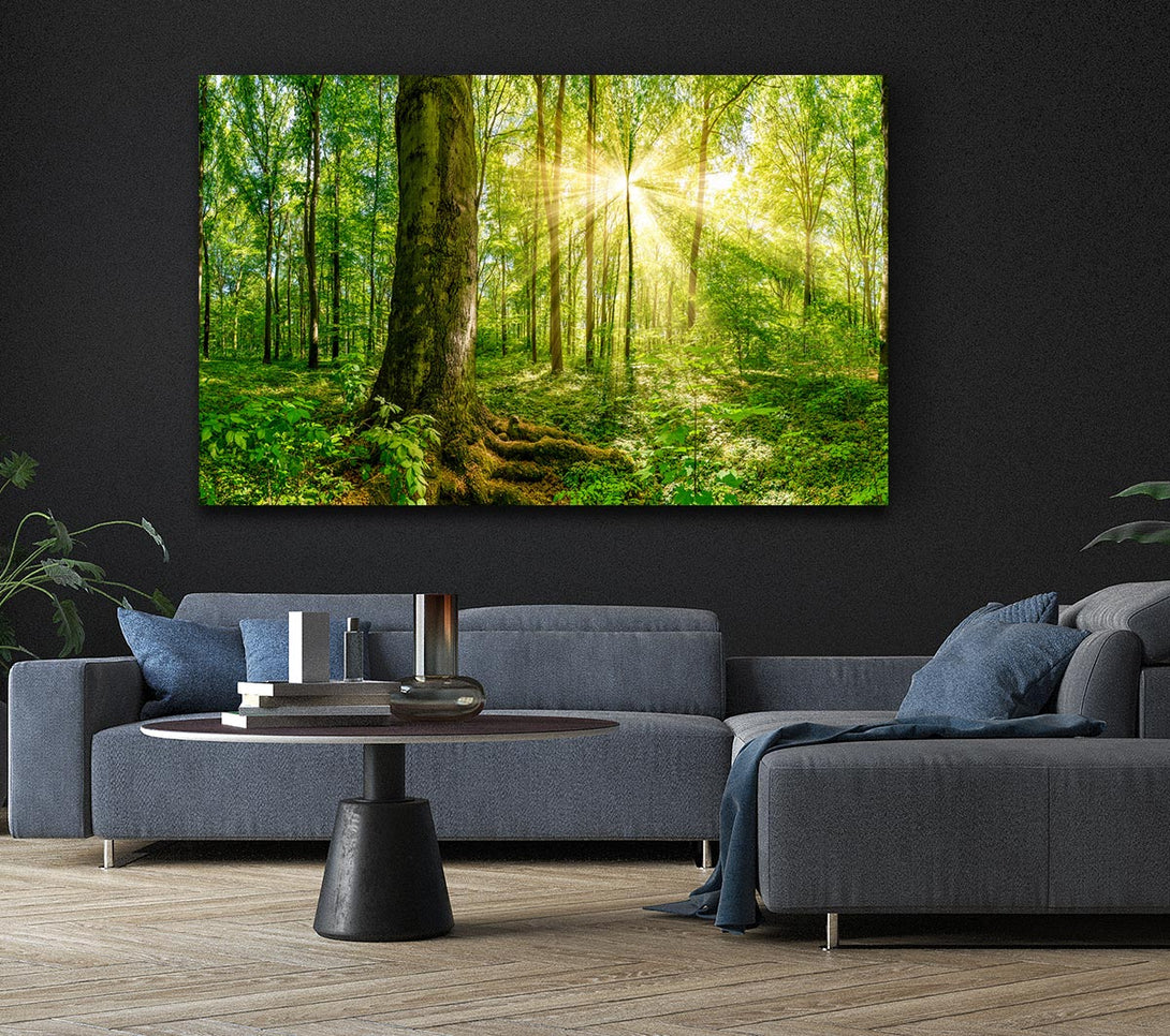 Picture of Bright light flare in the forest Canvas Print Wall Art