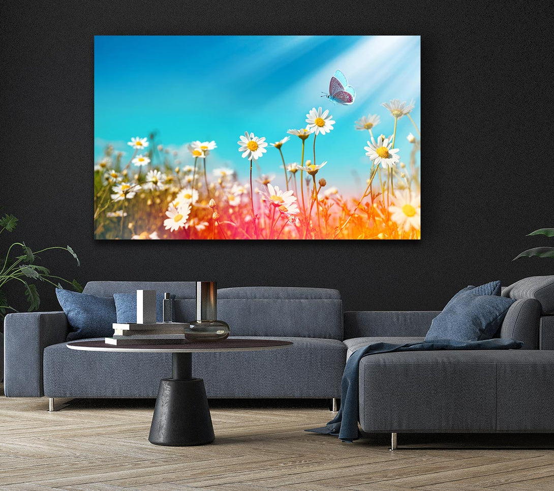 Picture of Butterfly landing on a daisy Canvas Print Wall Art