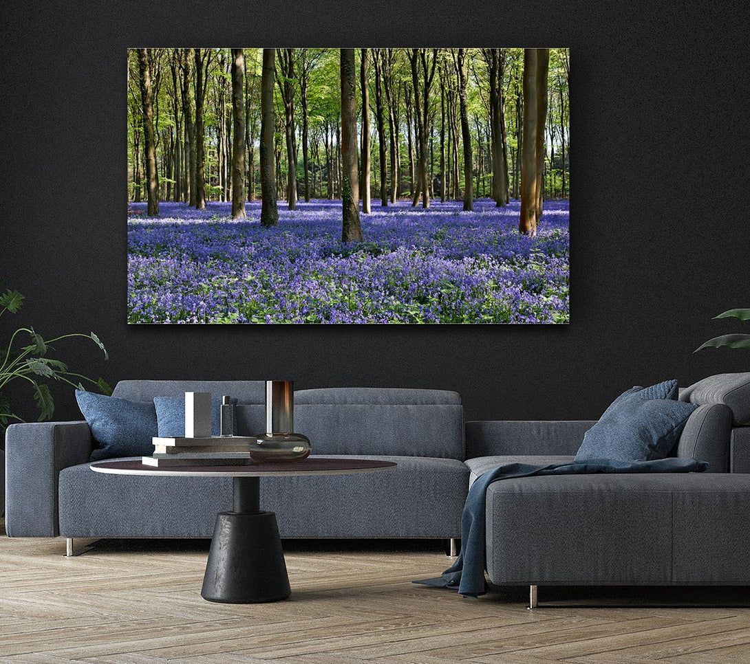 Picture of Beautiful purple flowers in the woods Canvas Print Wall Art